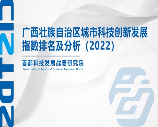 激情插入网站【成果发布】广西壮族自治区城市科技创新发展指数排名及分析（2022）